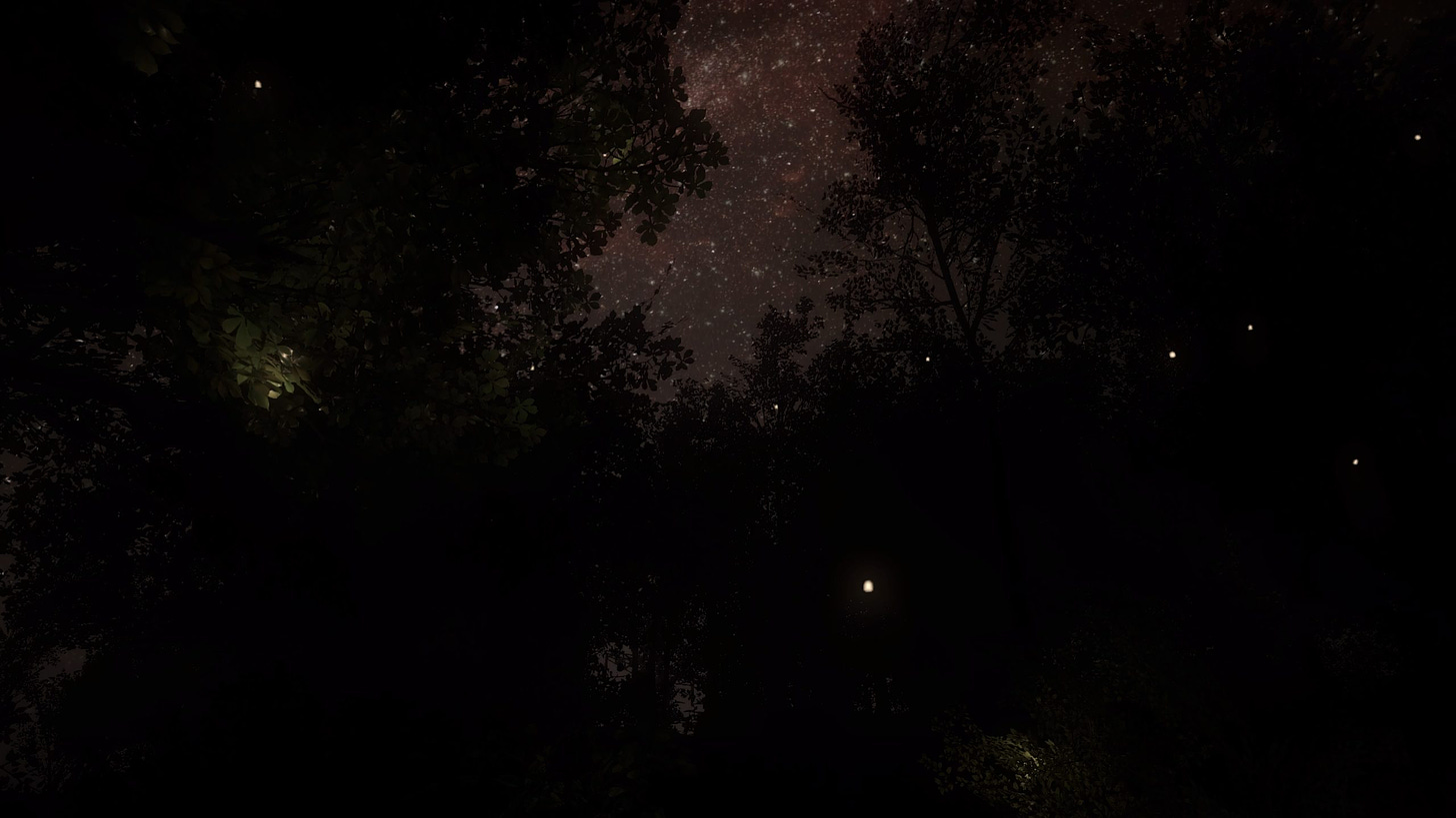 Night in Everybody's Gone to the Rapture
