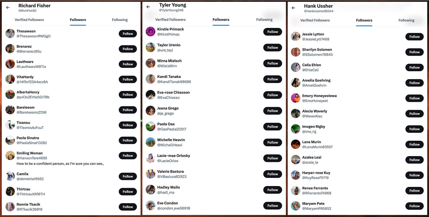 screenshots of the followers of three of the spam accounts