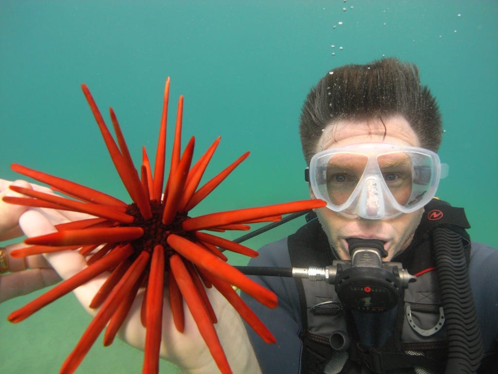 A person in scuba gear holding an object

Description automatically generated