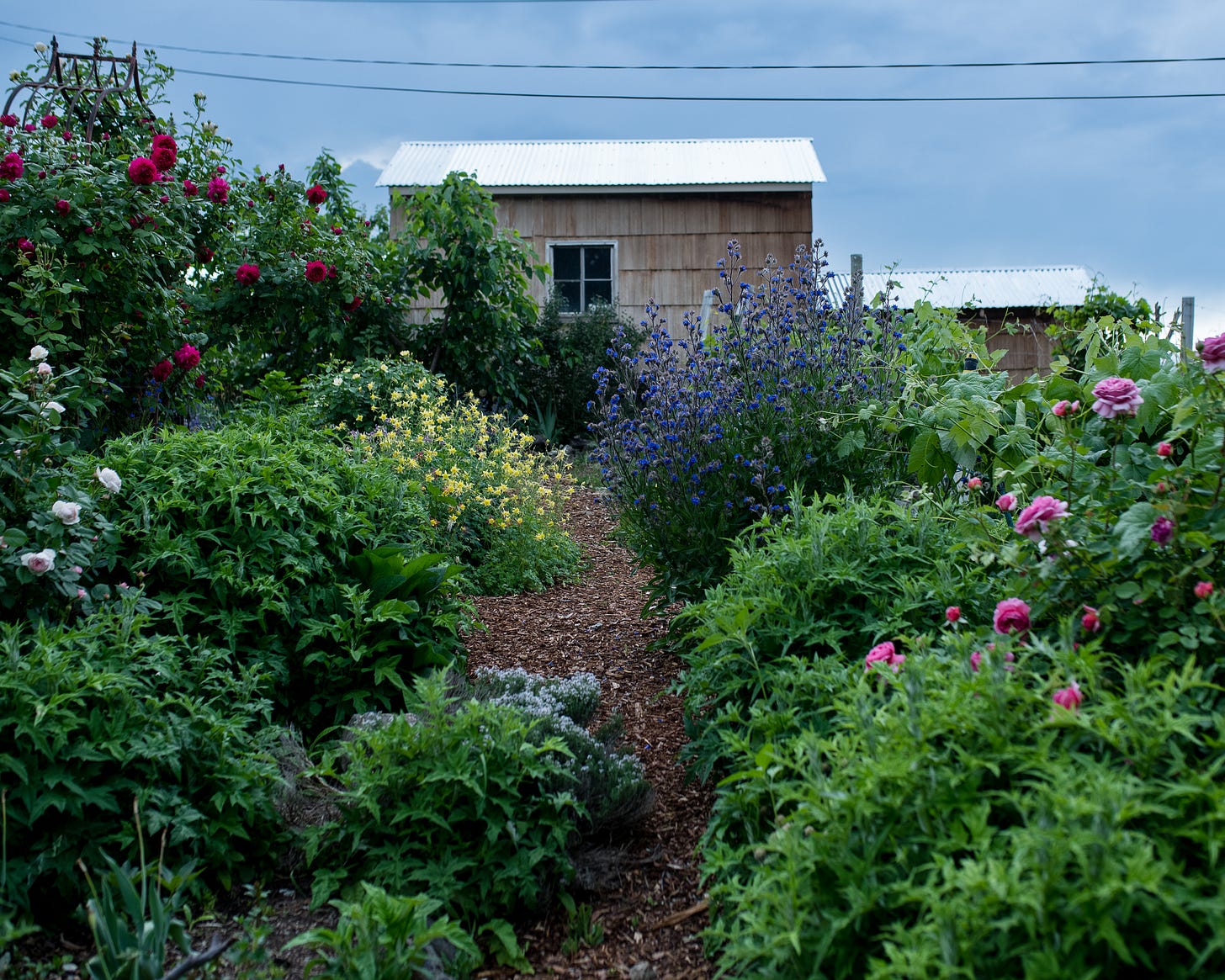 Cottage Gardens at The Elliott Homestead