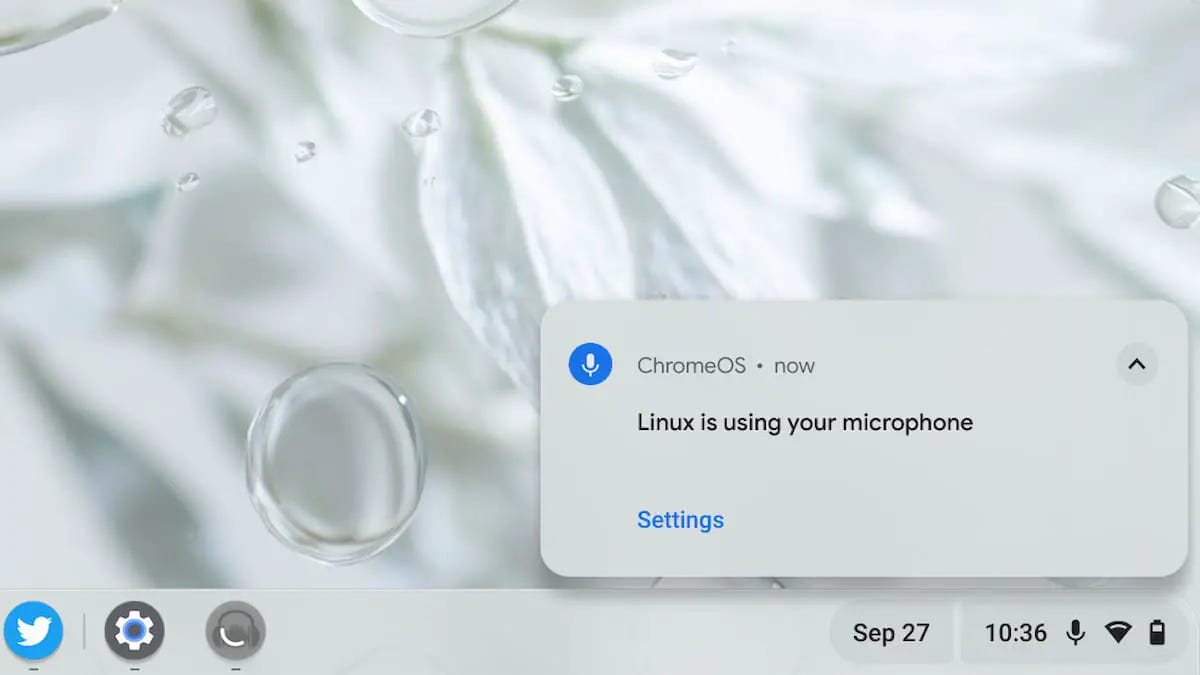 Linux using the microphone in ChromeOS on Chromebooks