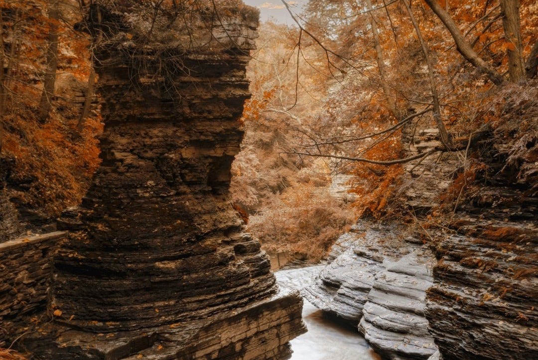 a river flowing through a canyon surrounded by tall rocks