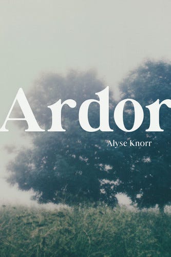 cover image for Ardor by Alyse Knorr