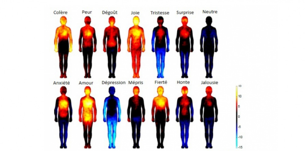Les zones du corps humains qui réagissent aux émotions - Sciences et Avenir