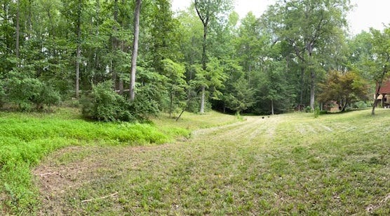 a wooded area adjoining a mowed lawn