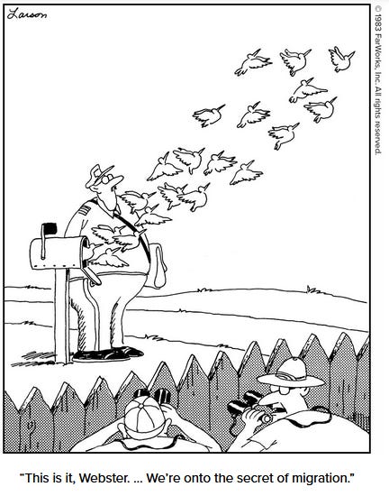 Far side comic: two scientists watch birds flying from a mailbox
