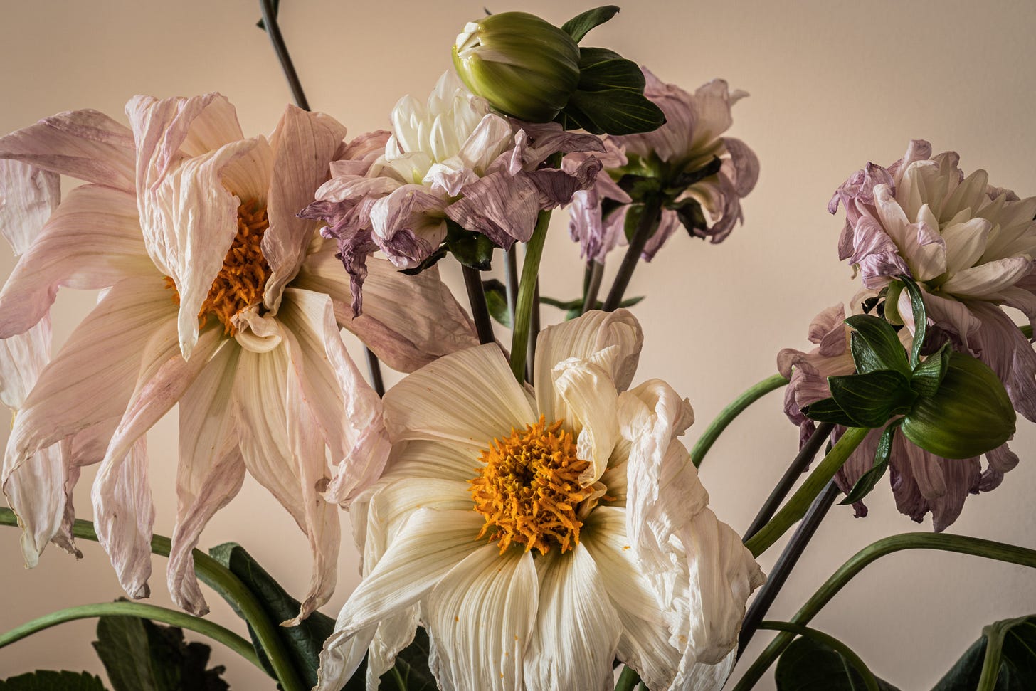 Wilting flowers in white and green.