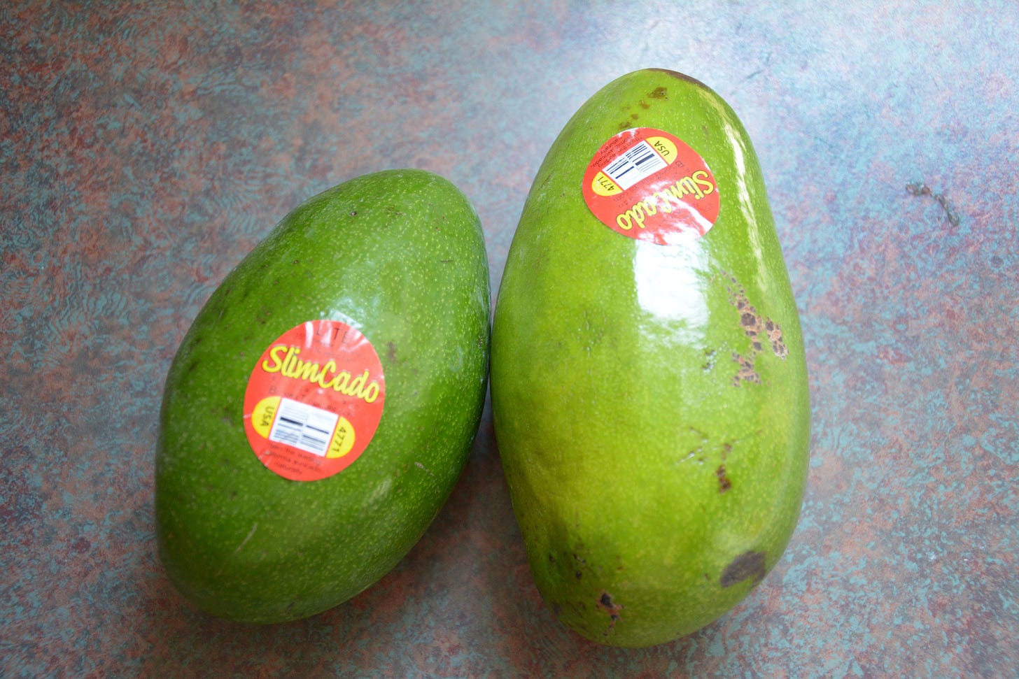 SlimCado has less fat, fewer calories than richer Hass avocado