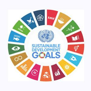 UN sustainable development goals - TIA Formazione