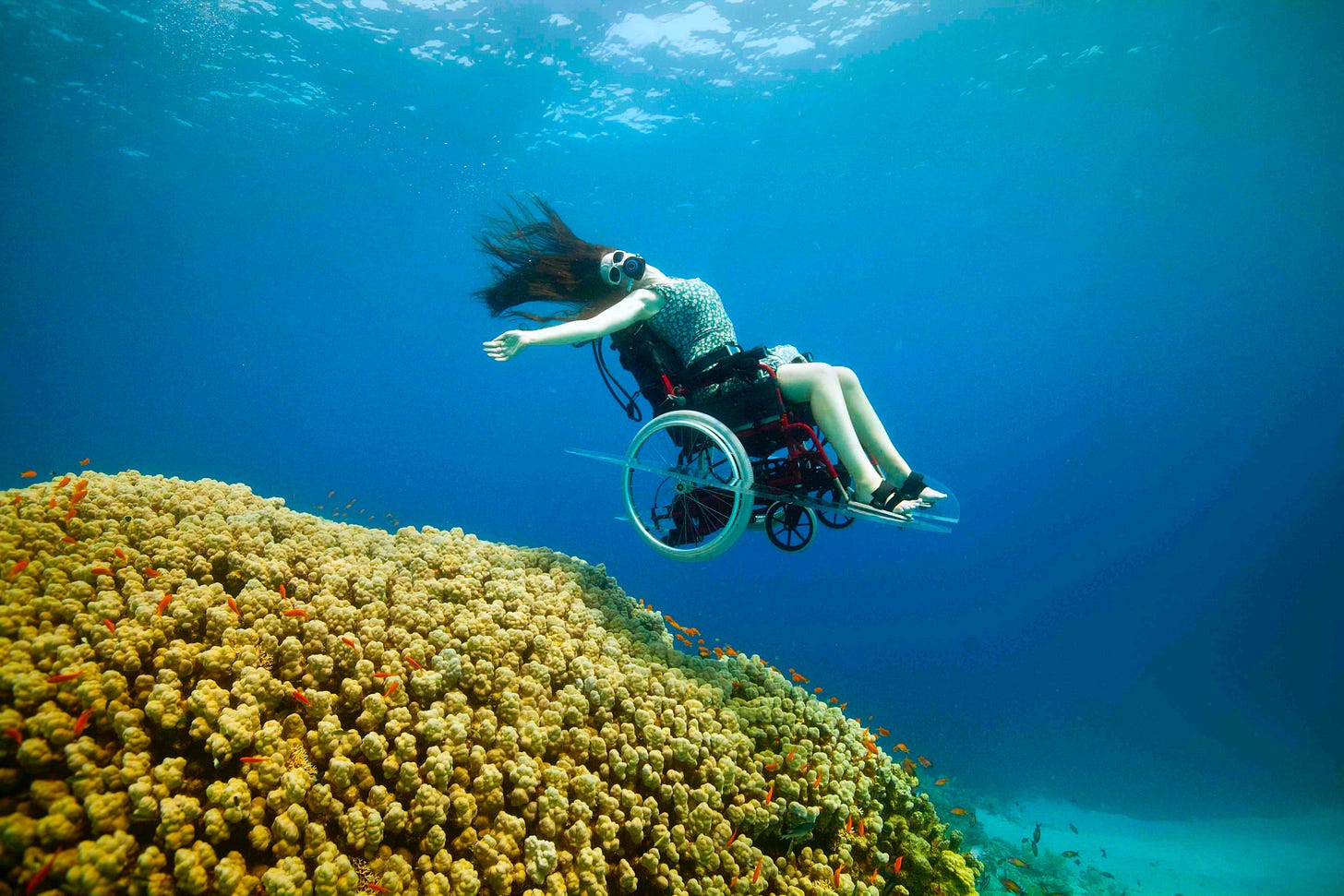 A white woman scuba diving next to a reef using a manual wheelchair.