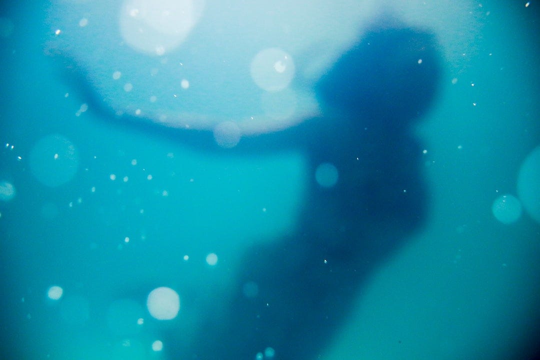 woman swimming under body of water woman swimming under body of water