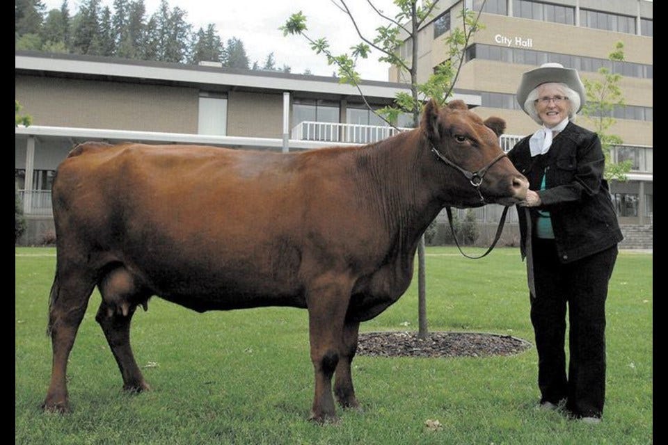 A month after receiving the Freedom of the City award in 2013, Shirley Gratton returned to Prince George City Hall to let a cow graze on the lawn to promote the upcoming PGX (now the BCNE).
