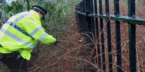 Officer searching for knives in undergrowth by black metal fence