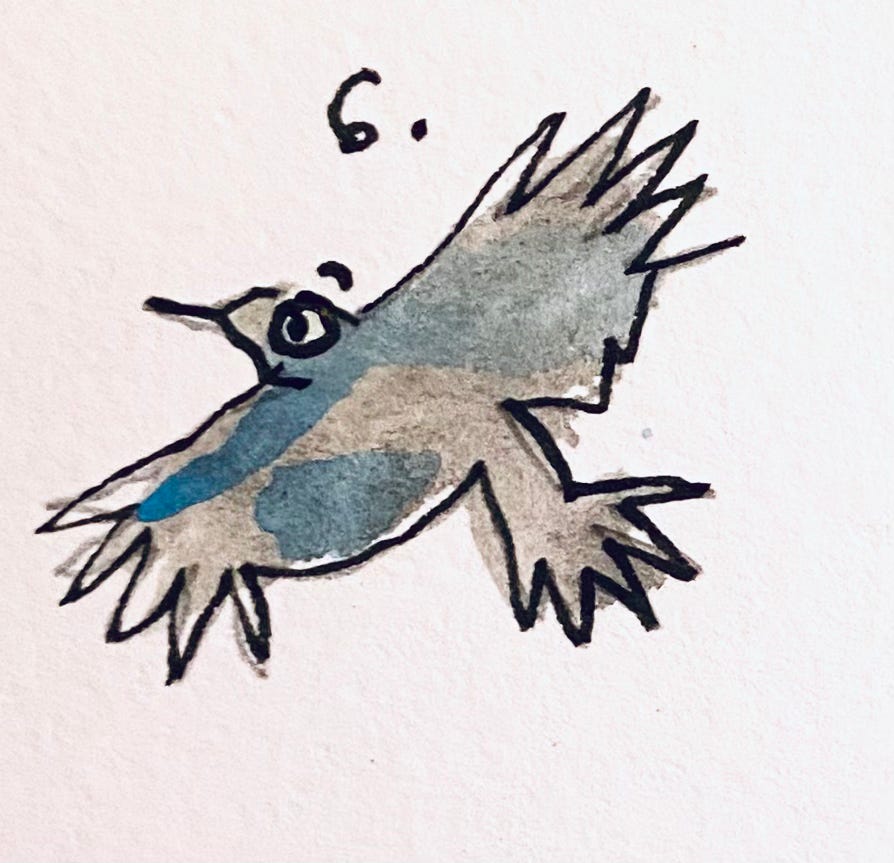 thirteen ways of looking at a blackbird wallace stevens