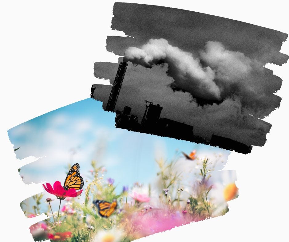 flowering meadow with butterflies splitscreen with a black and white industrial smoke stack scene