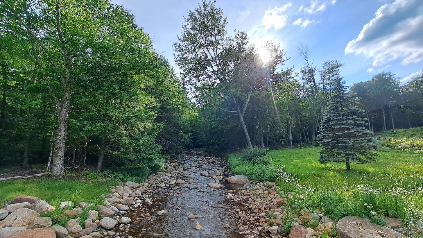 A small stream runs through the Adirondacks - Justin Levine/Adirondack Council