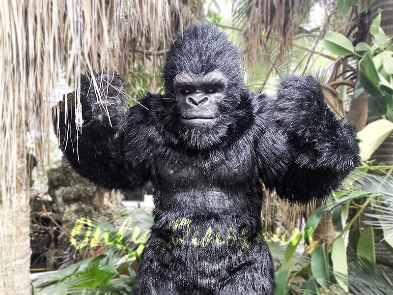 Exhibition Props Realistic Gorilla Costume | Only Dinosaurs