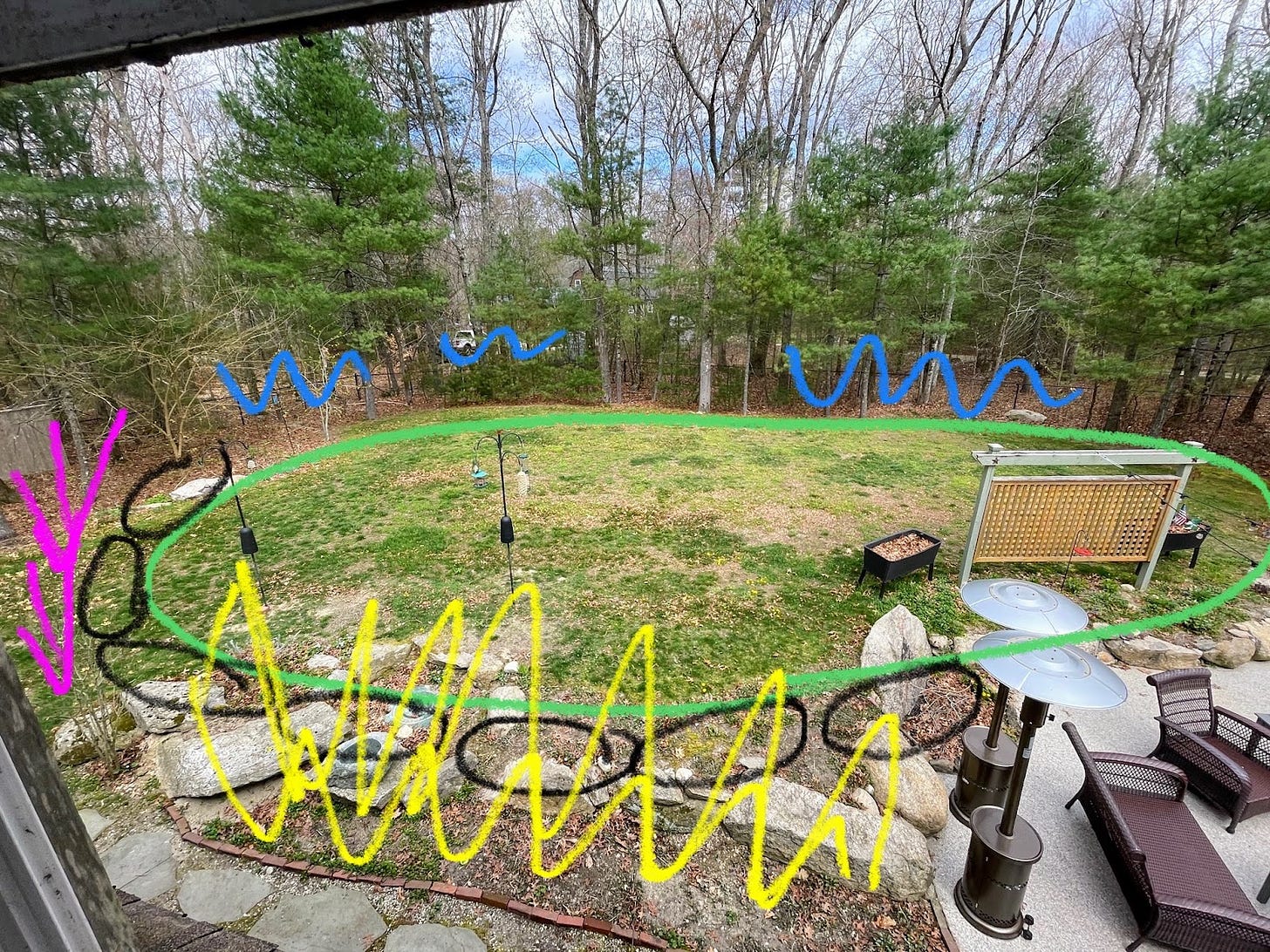 Image of Lawn marked up to show how defined shapes signal intentionality