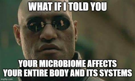 What Affects Our Microbiome? » Science ABC