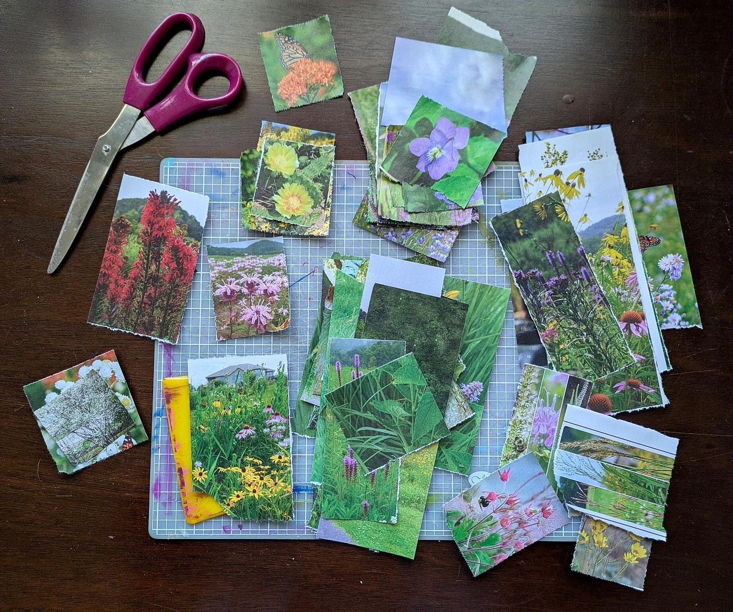 flower collage fodder on art table with scissors