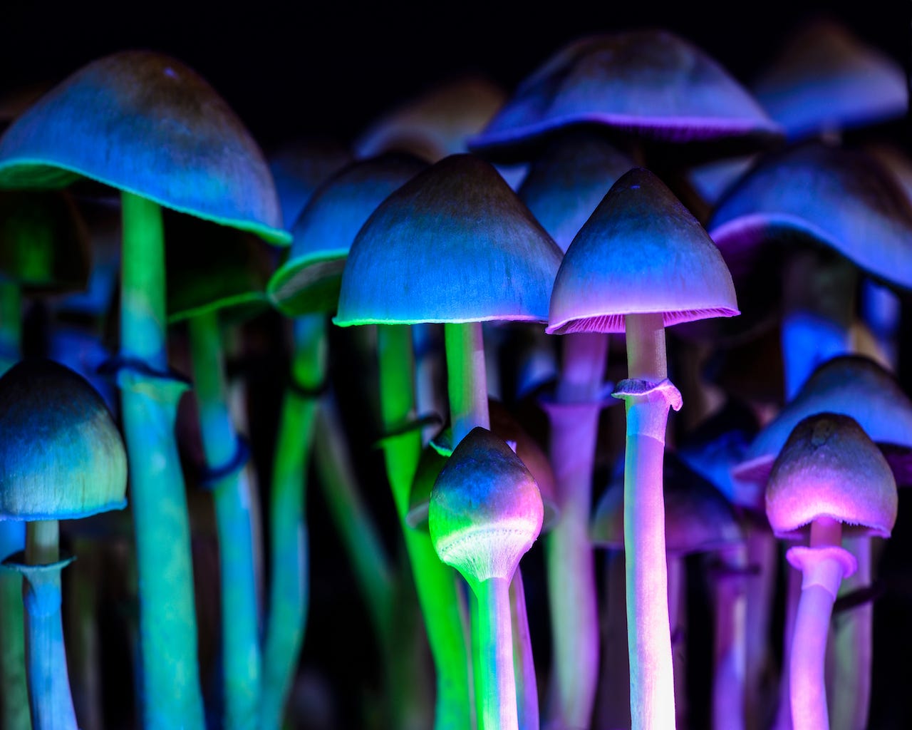 Psilocybin: The main ingredient in 'magic' mushrooms | Live Science