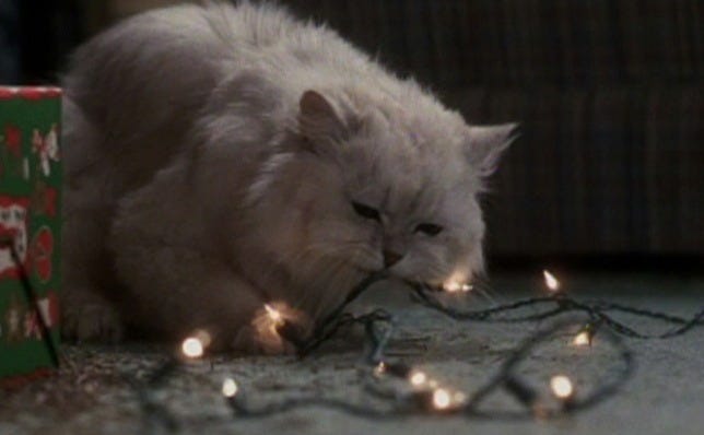 National Lampoon's Christmas Vacation (1989) - Cinema Cats