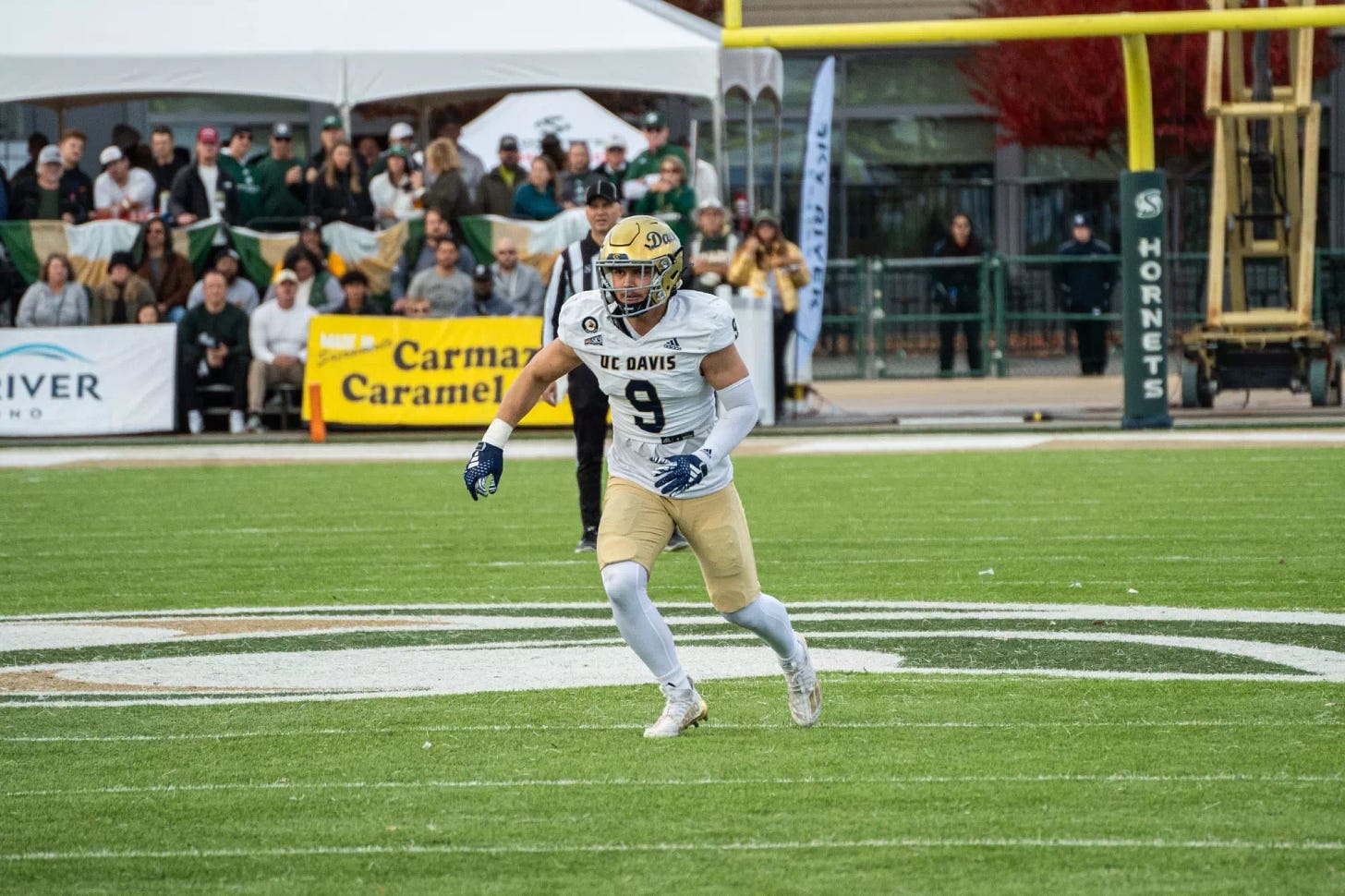 David Meyer Named Buck Buchanan Award Finalist - UC Davis Athletics