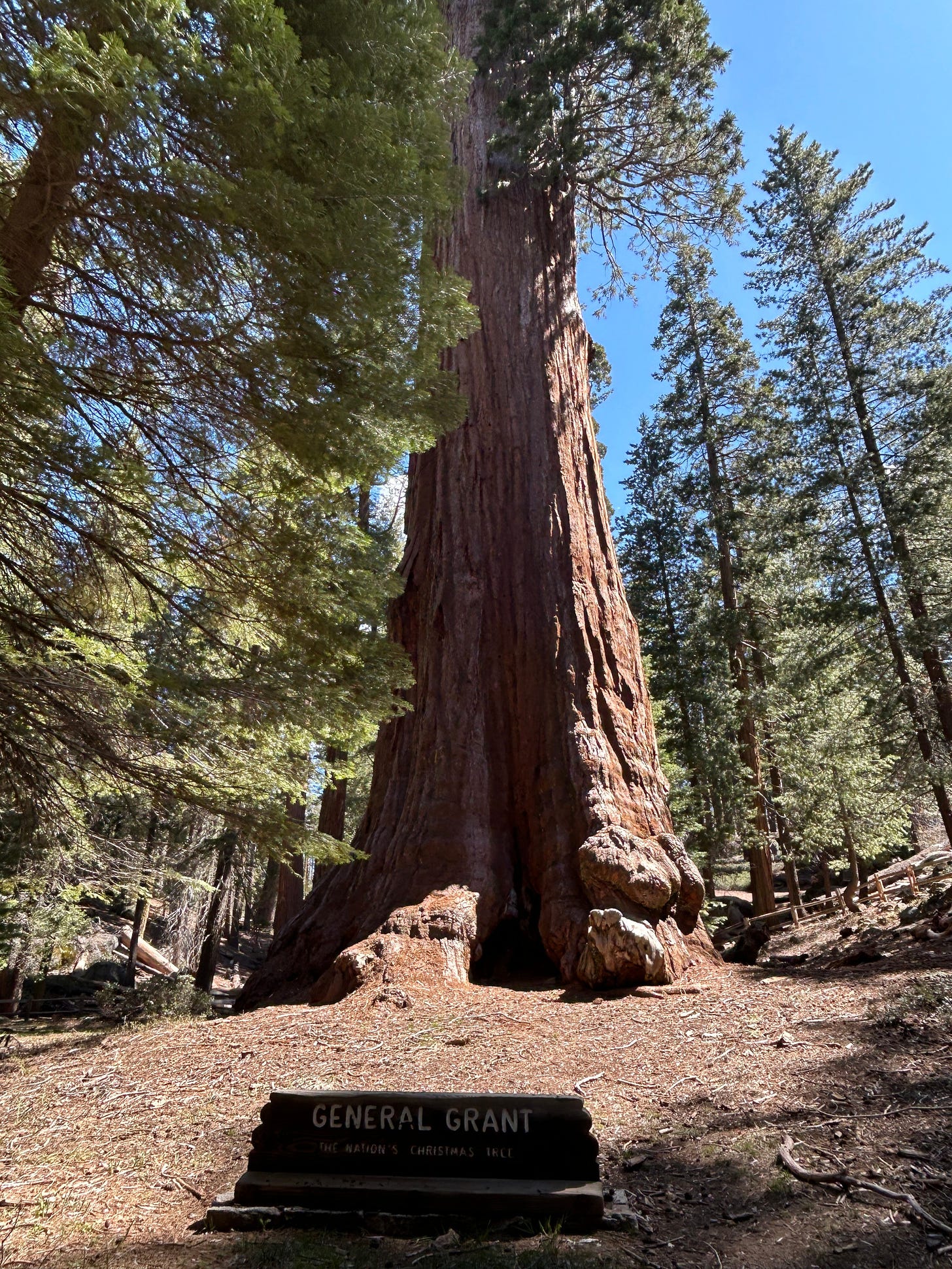 Visiting Kings Canyon National Park