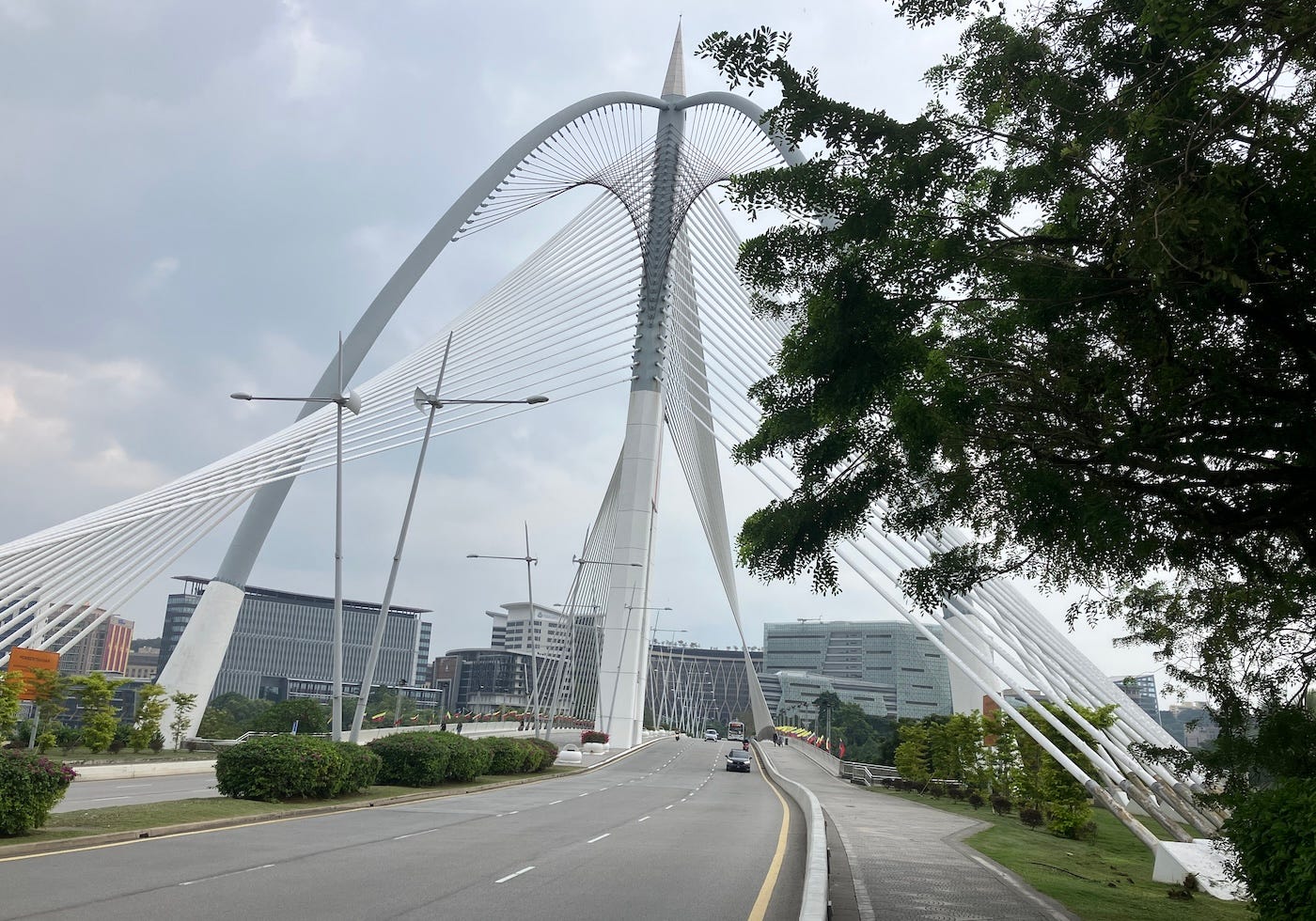 Large suspension bridge with white painted support rods Large suspension bridge with white painted support rods