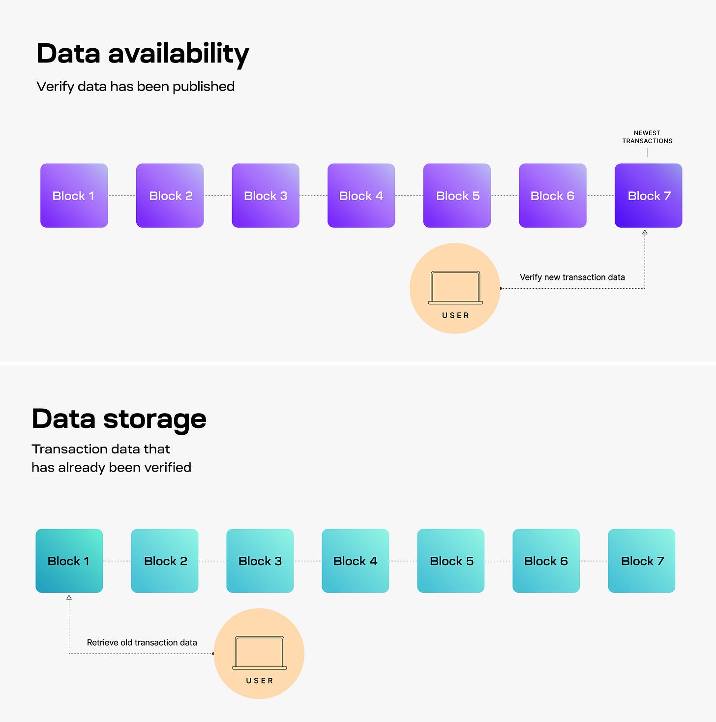 Data Availability