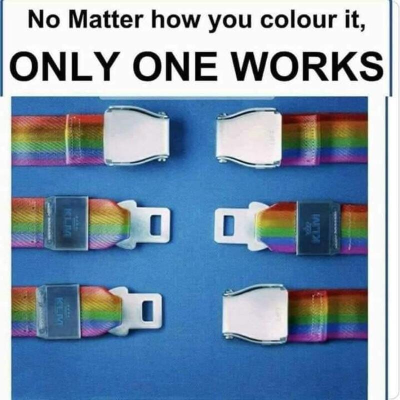 May be an image of text that says 'No Matter how you colour it, ONLY ONE WORKS 미미'