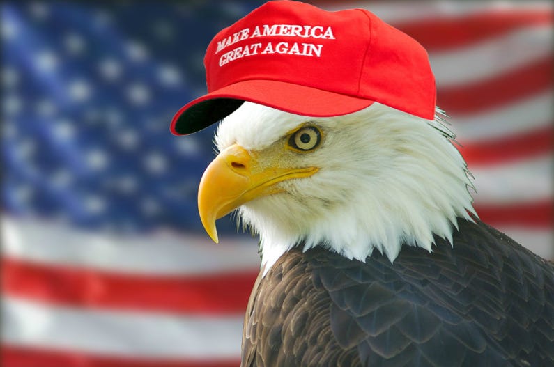 eagle | Make America Great Again | Know Your Meme