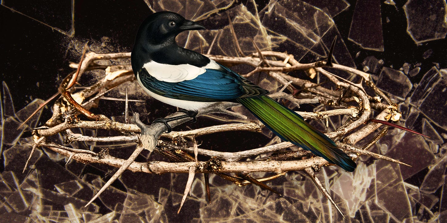 a drawing of a blue, black, white and green bird (a magpie) sitting on a crown of thorns against a backdrop of shattered glass