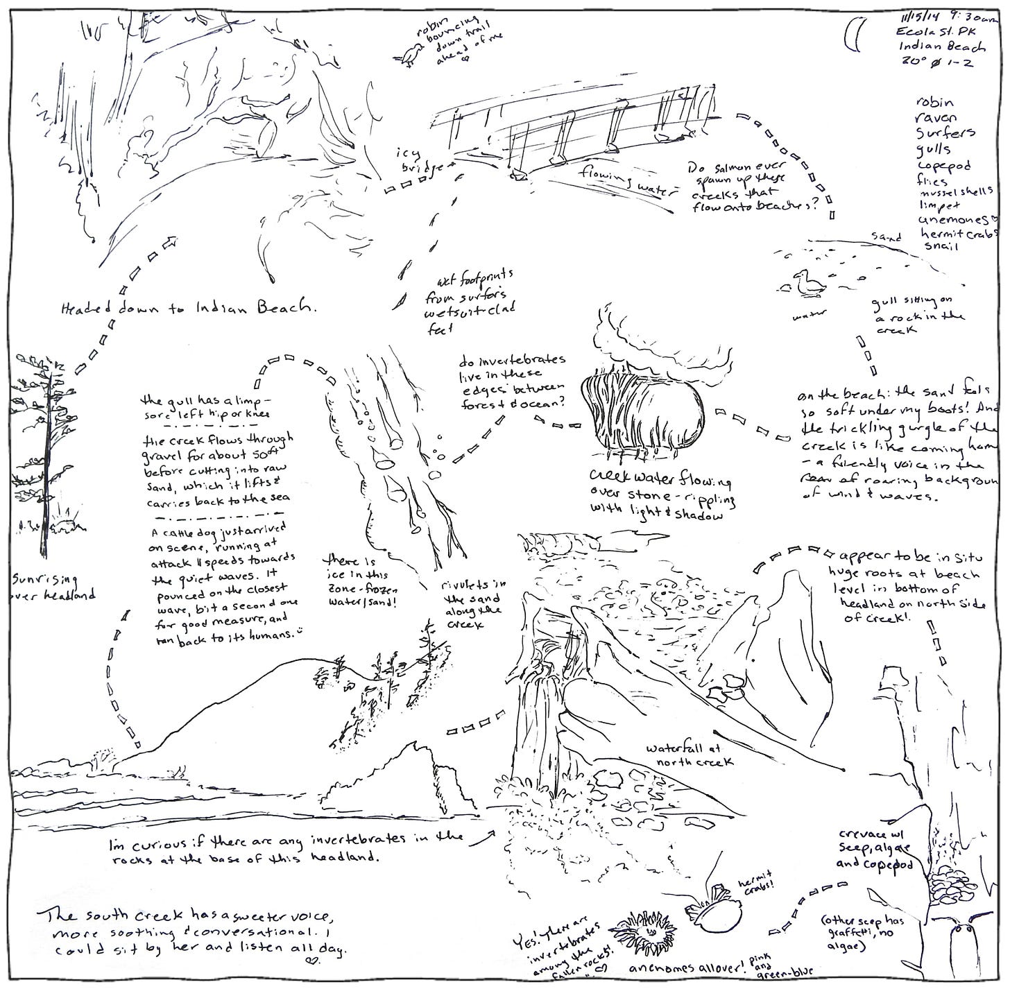 A page full of hand-drawn sketches connected by a dotted line.  Some of the sketches include a tree, a wooden bridge, a headland, and a sea anemone.