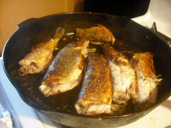 fish fry