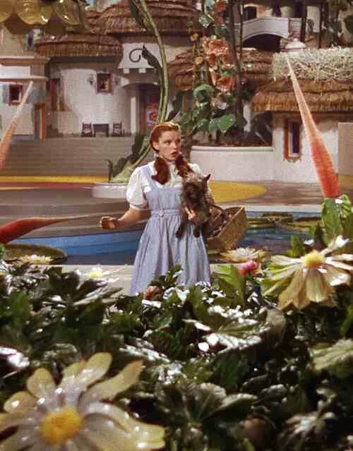 Still photo from the movie The Wizard of Oz, the scene when Dorothy has just landed in Oz, with her dog Toto. The look on her face is one of wonder and amazement, with perhaps a bit of fear.