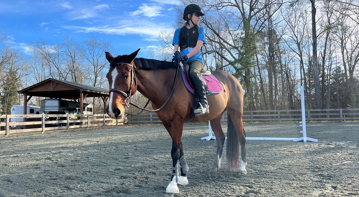 A 14 yo white boy on a tall bay horse in an arena with a bright blue sky behind them.