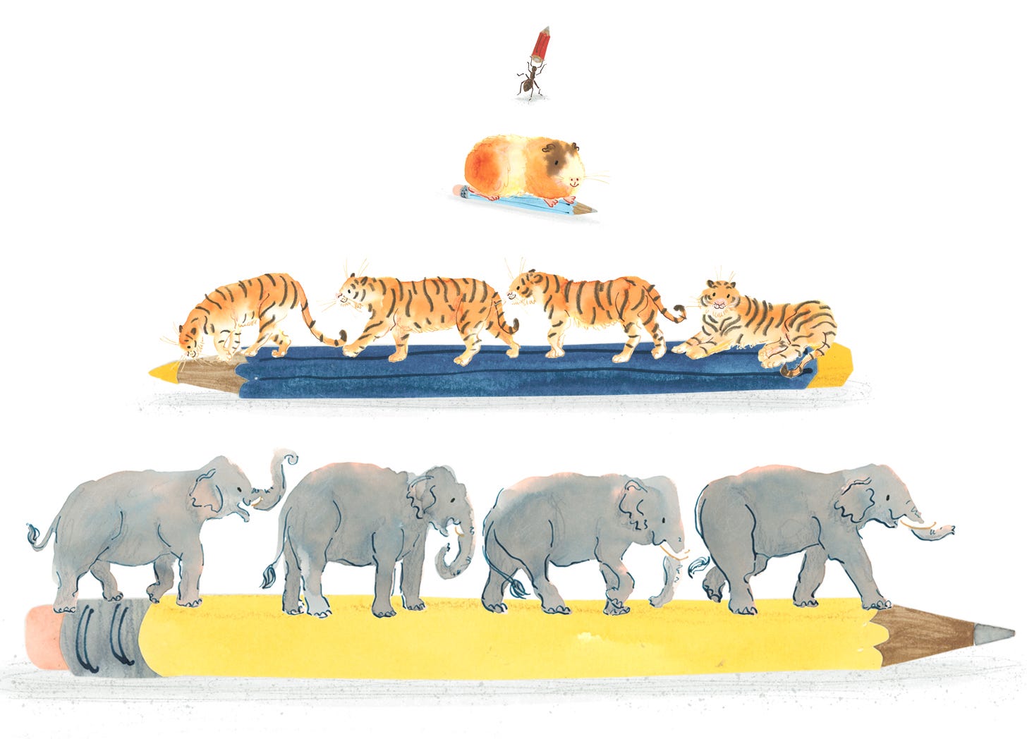 Watercolour and collage illustration by Nanette Regan. An ant holds up a tiny red pencil, below it a guinea pig sits on top of a pale blue pencil. Below that four tigers walk across a colouring pencil. Underneath that four elephants stride across a yellow graphite pencil 