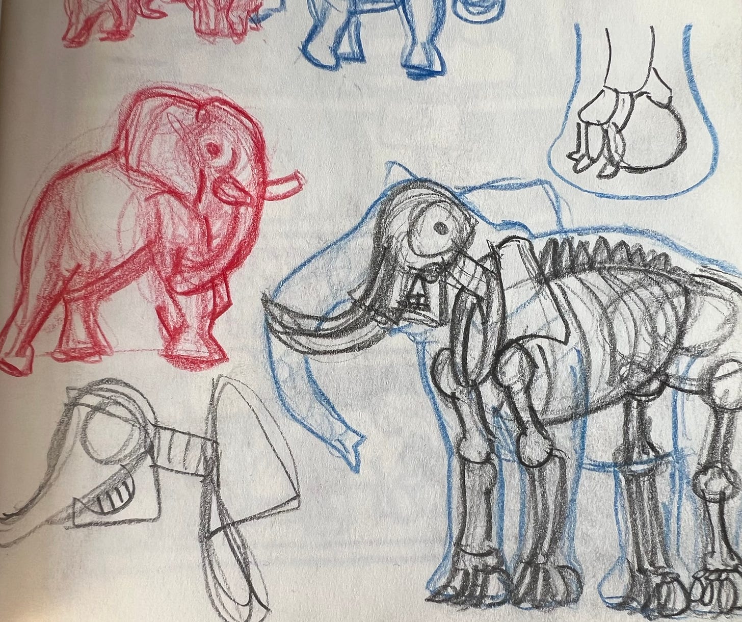 Some scribbly sketches of elephants, and a very basic elephant skeleton.