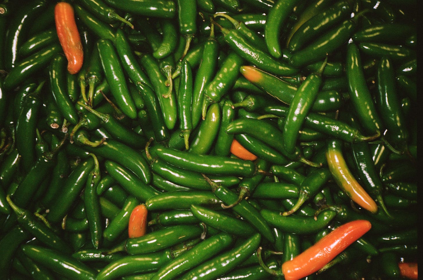 A pile of serrano peppers