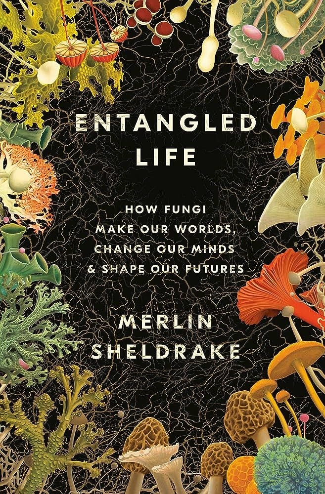 Entangled Life: How Fungi Make Our... by Sheldrake, Merlin