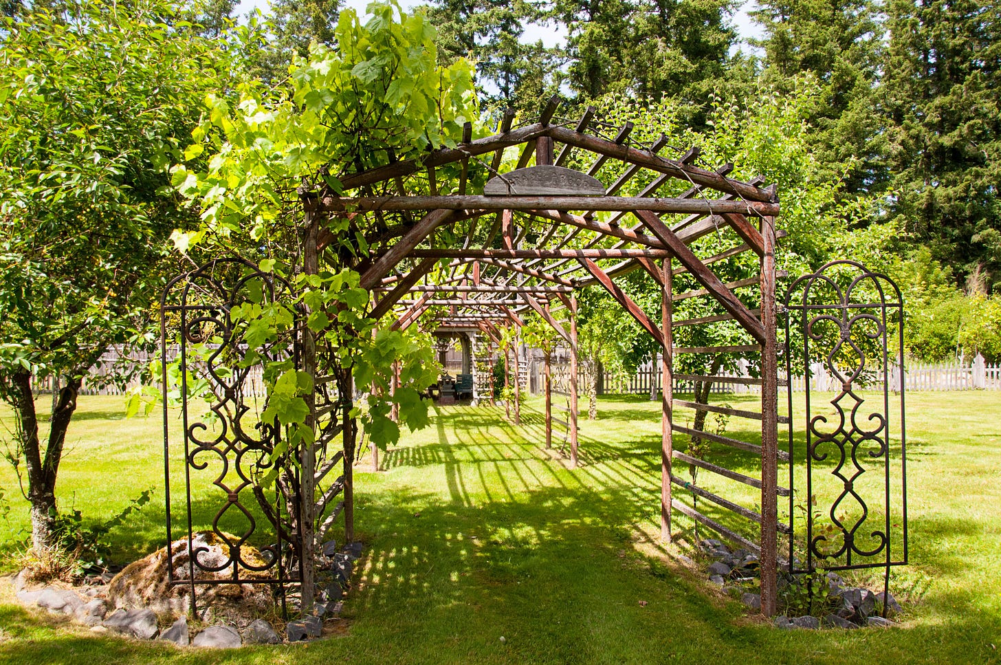 garden scene with grape arbor