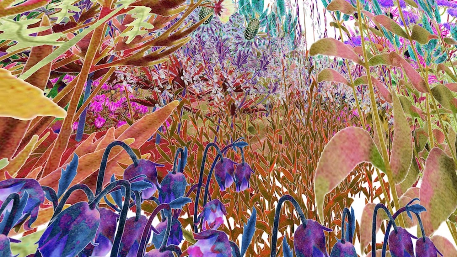 colorful plants and flowers from worm's eye view