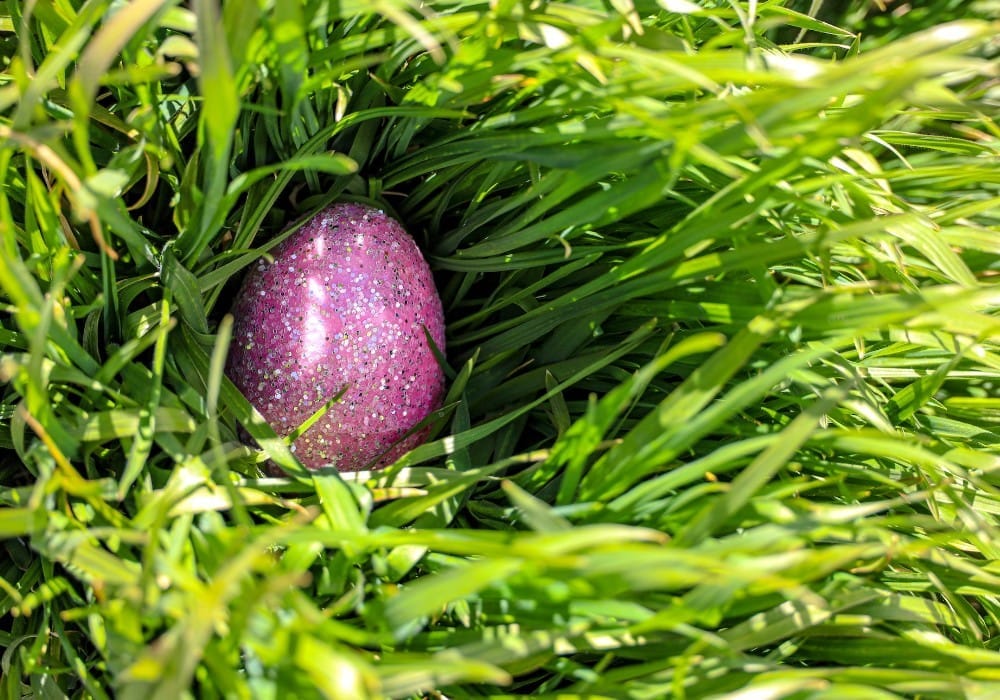 Sparkly pink Easter egg hidden in lush green grass