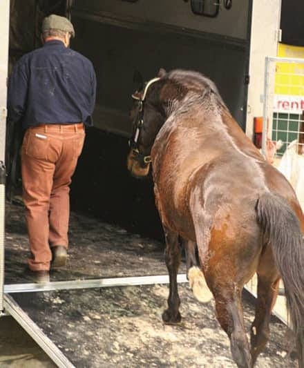 Loading-brown-Horse-into-Trailer - Monty Roberts