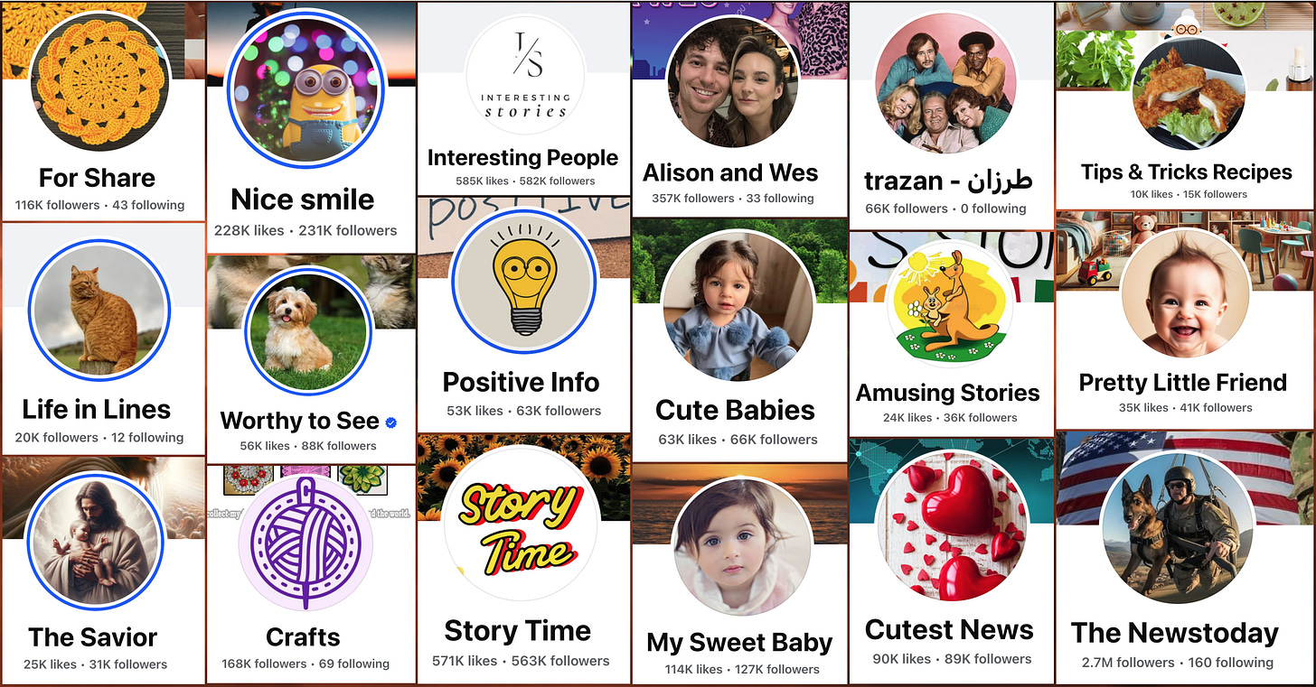collage of 18 Facebook profiles
