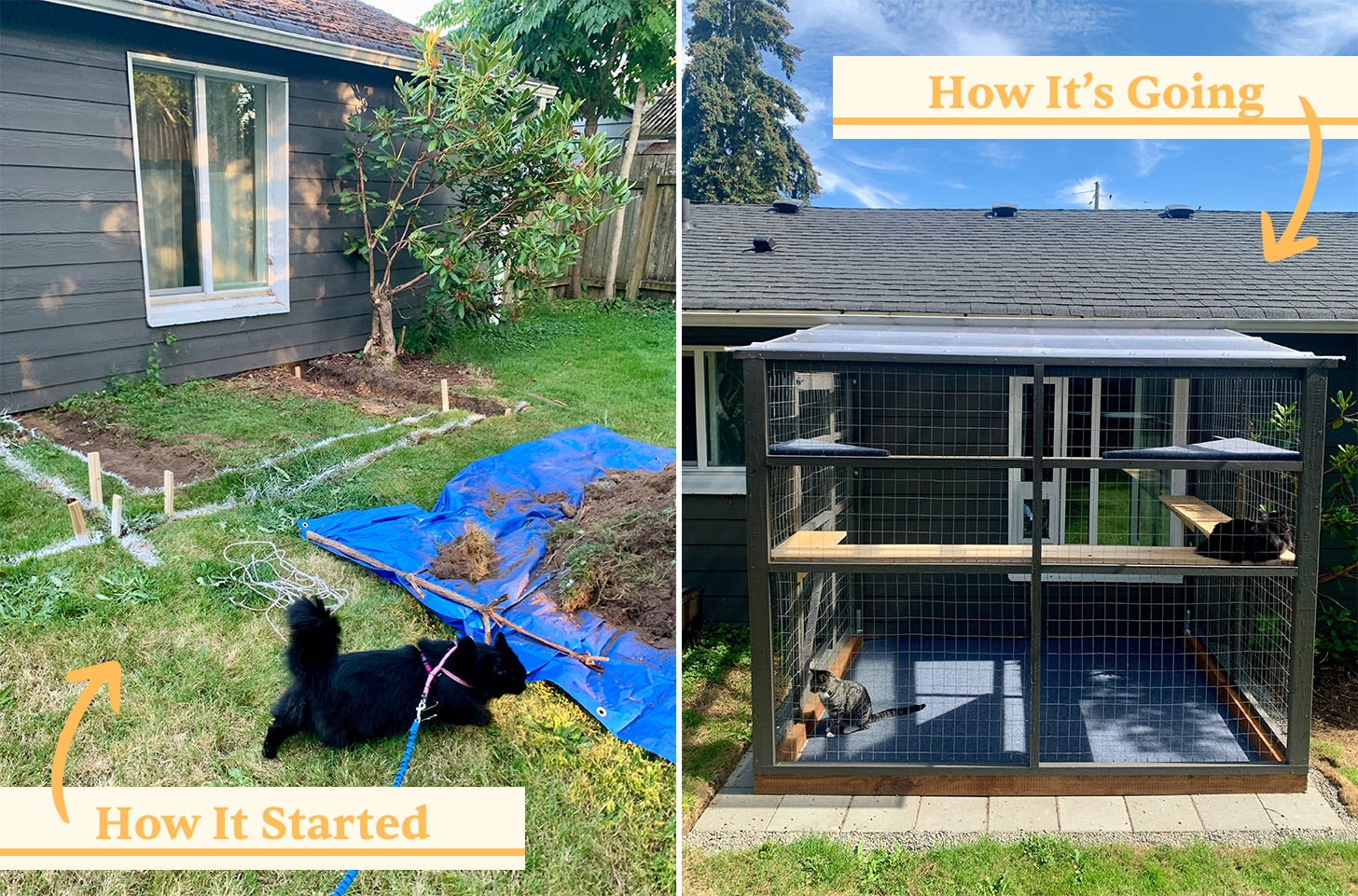 Before and after photos of the catio site