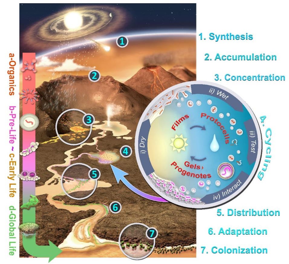 The Hot Spring Hypothesis for the Origin of Life and the Extended  Evolutionary Synthesis – Extended Evolutionary Synthesis