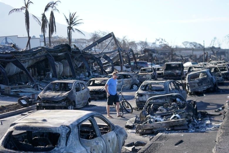 A man wearing a blue shirt walks through wildfire wreckage, surrounded by burned cars.
