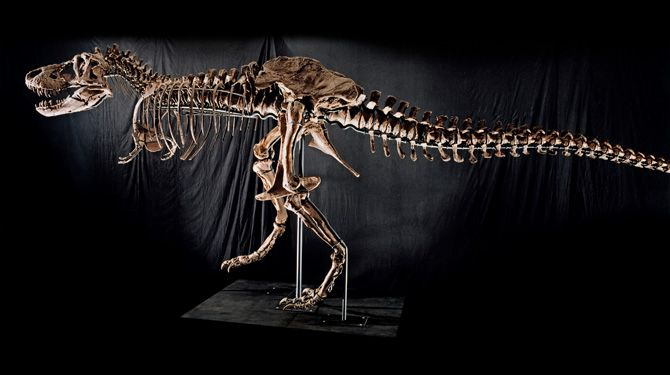 t-rexskeleton2